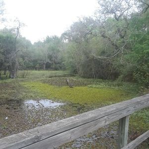 Meet your Posher, Jacki